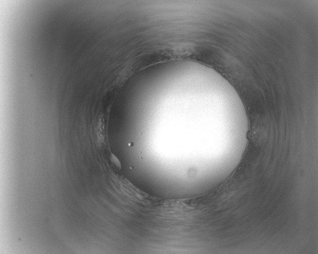 X0000070880866200606302135