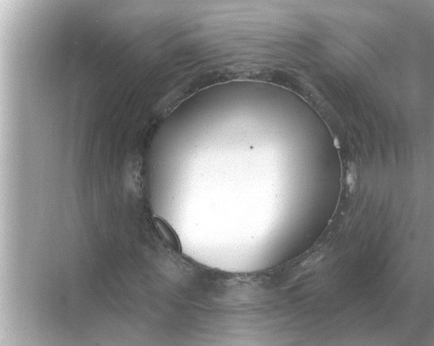 X0000070880867200606302135