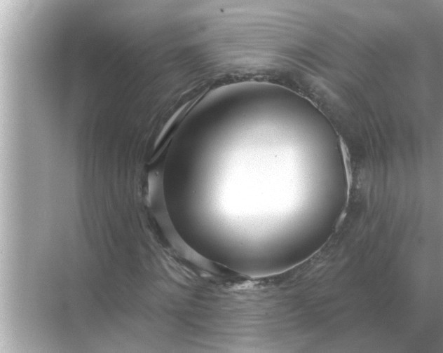 X0000070880868200606302135