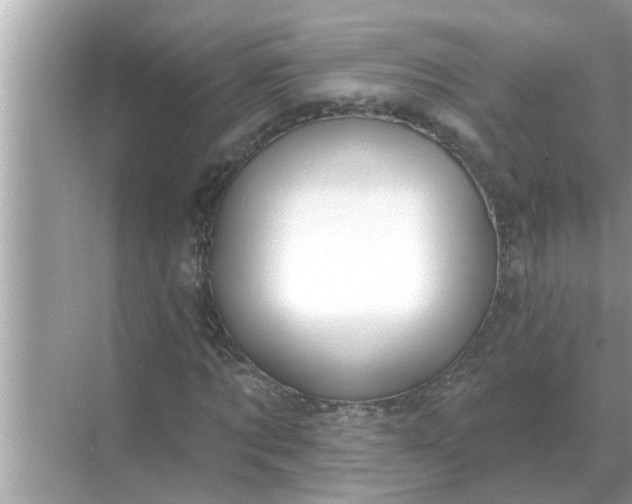 X0000070880869200606302135