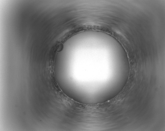 X0000070880870200606302135