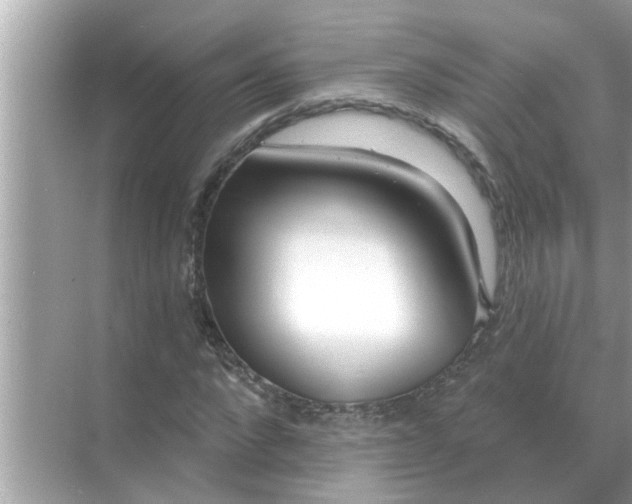 X0000070880872200606302135