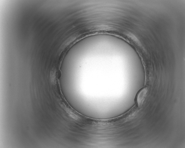 X0000070880873200606302135