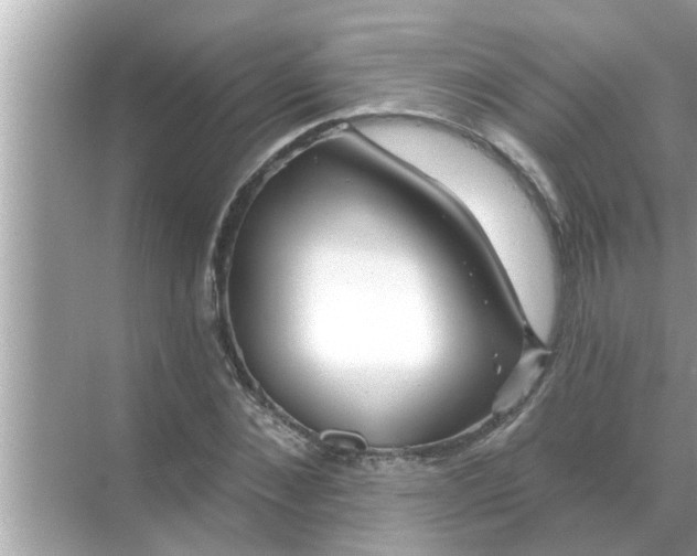 X0000070880876200606302135