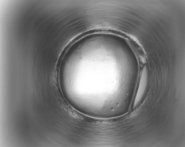 X0000070880879200606302135