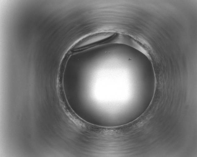 X0000070880880200606302135