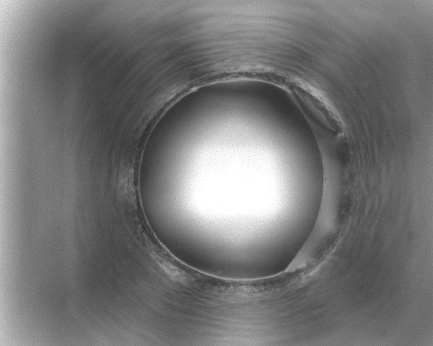 X0000070880881200606302135