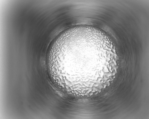 X0000070880882200606302135