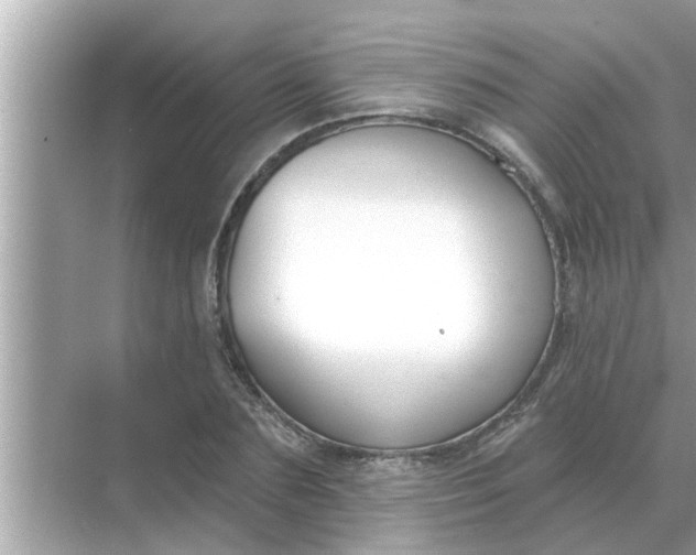 X0000070880883200606302135