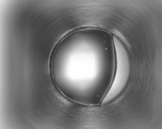 X0000070880884200606302135