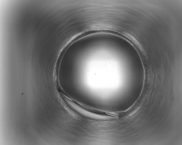 X0000070880885200606302135