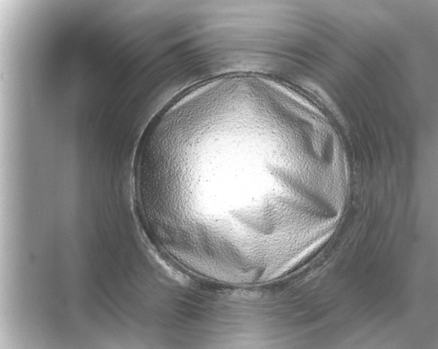 X0000070880890200606302134