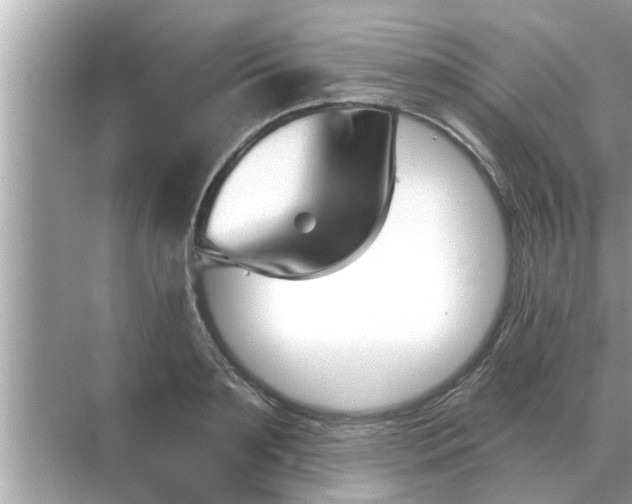 X0000070880891200606302134