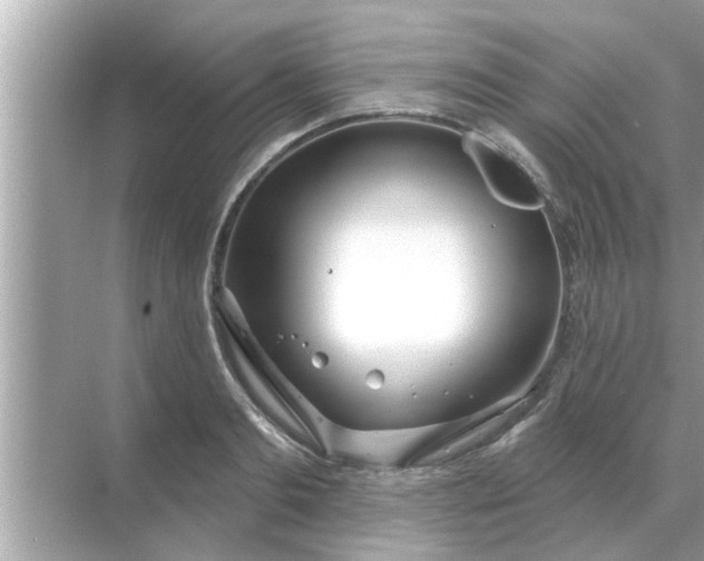 X0000070880893200606302134