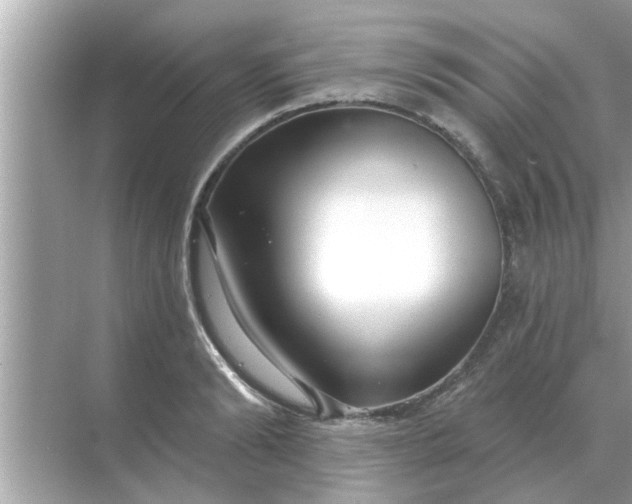 X0000070880894200606302134