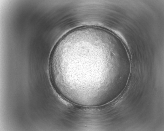 X0000070880895200606302134