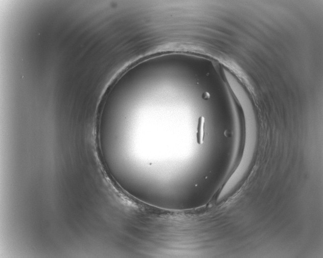 X0000070880896200606302134