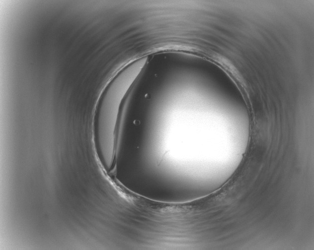 X0000070880898200606302134