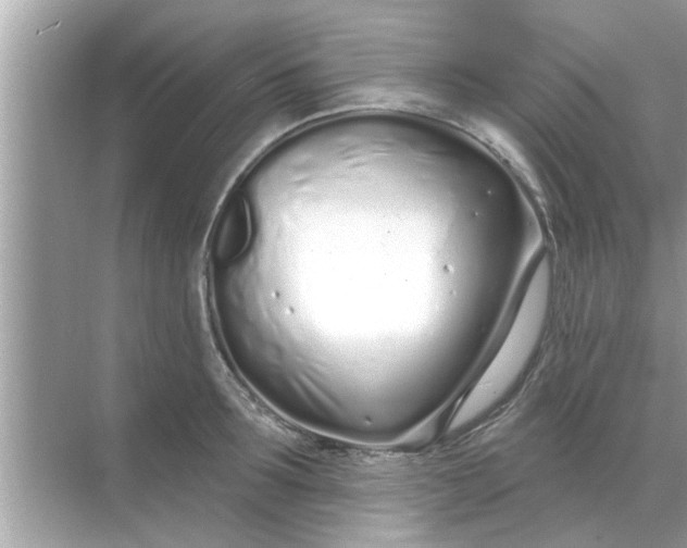 X0000070880899200606302134