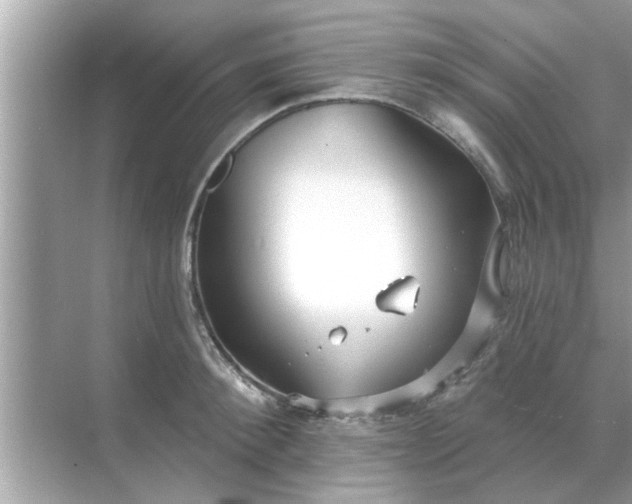 X0000070880900200606302134