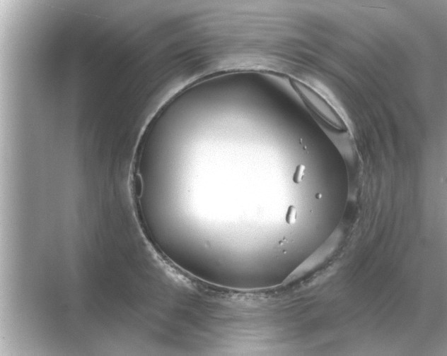 X0000070880901200606302134