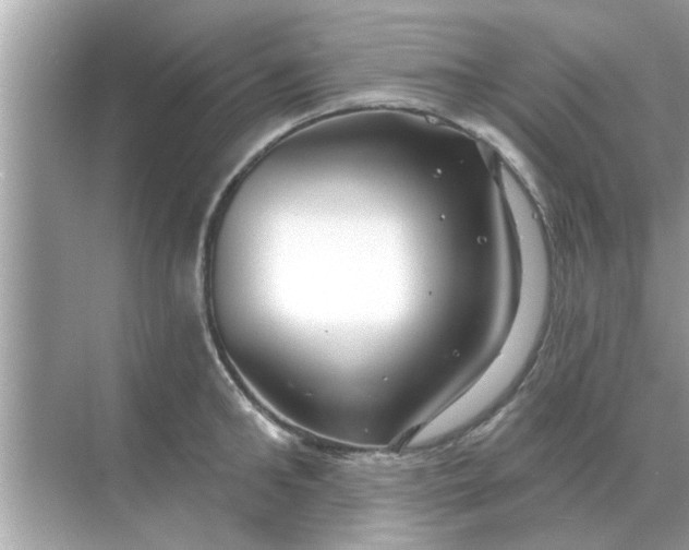 X0000070880902200606302134