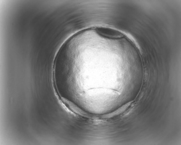 X0000070880903200606302134