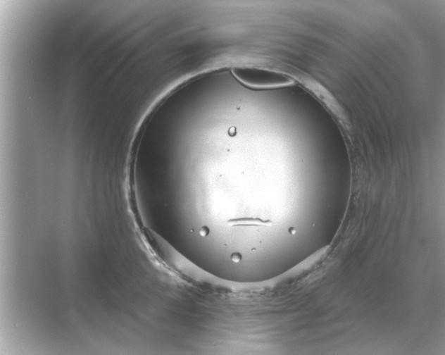 X0000070880904200606302134