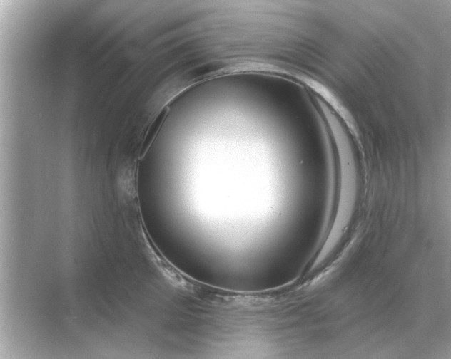 X0000070880905200606302134