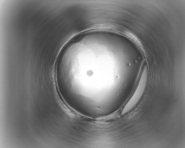 X0000070880907200606302134