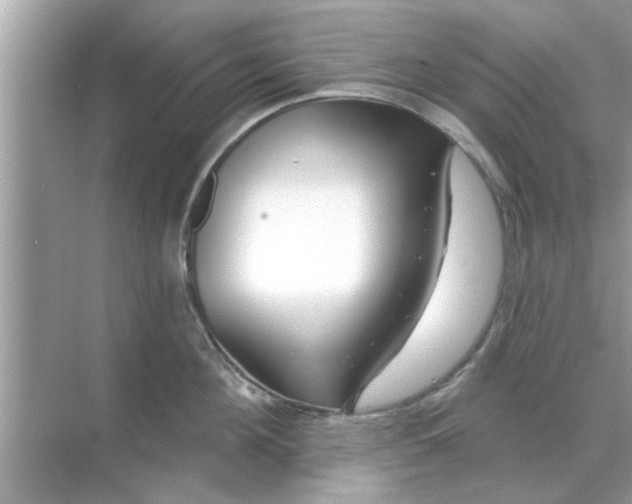 X0000070880908200606302134