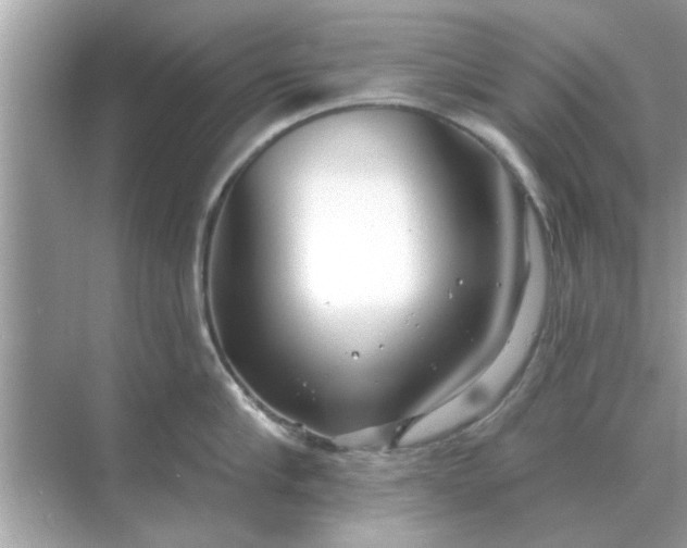 X0000070880910200606302134