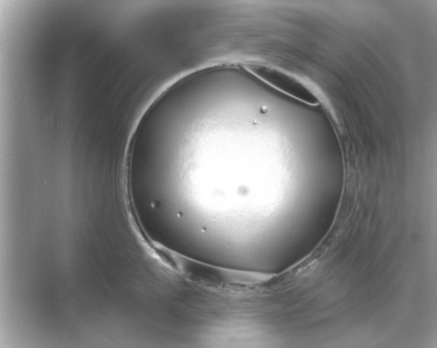 X0000070880911200606302134