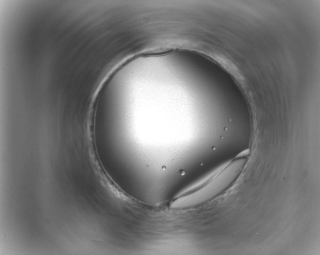 X0000070880912200606302134