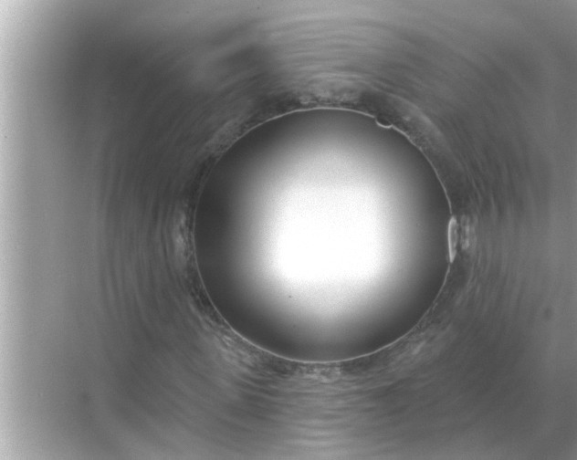 X0000070880915200606302133