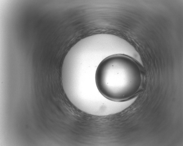 X0000070880916200606302133