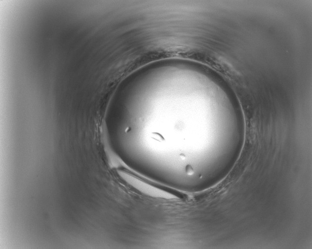 X0000070880917200606302133