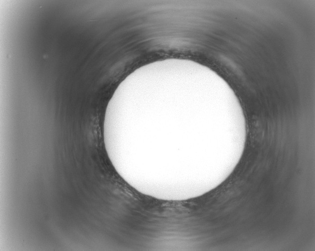 X0000070880918200606302133