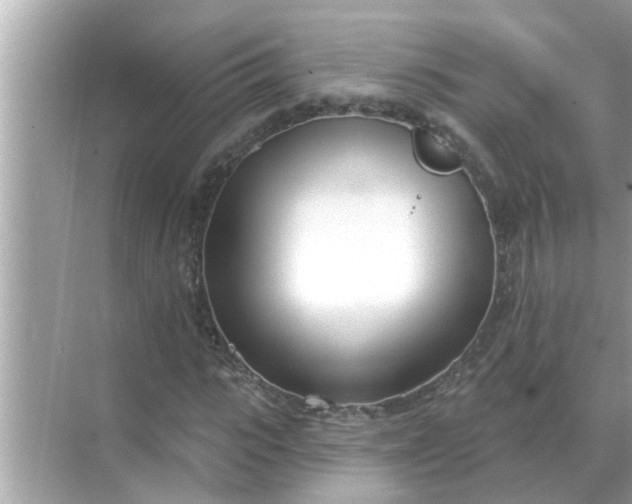 X0000070880919200606302133