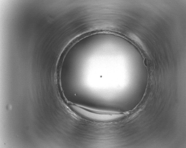 X0000070880924200606302133