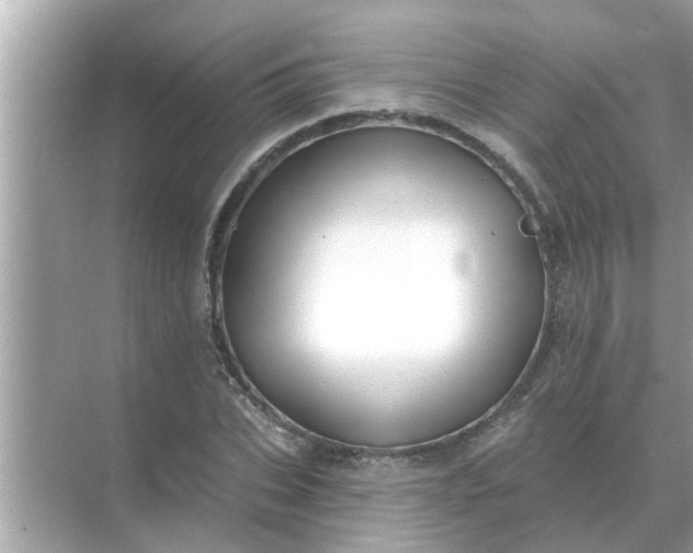 X0000070880927200606302134