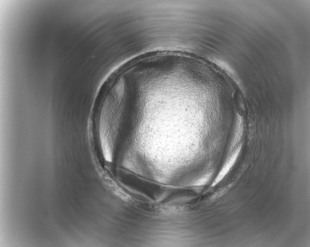 X0000070880928200606302134