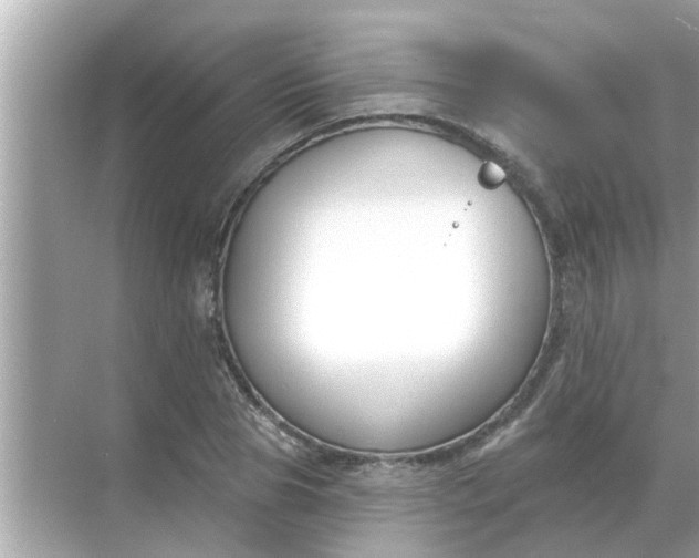 X0000070880929200606302134