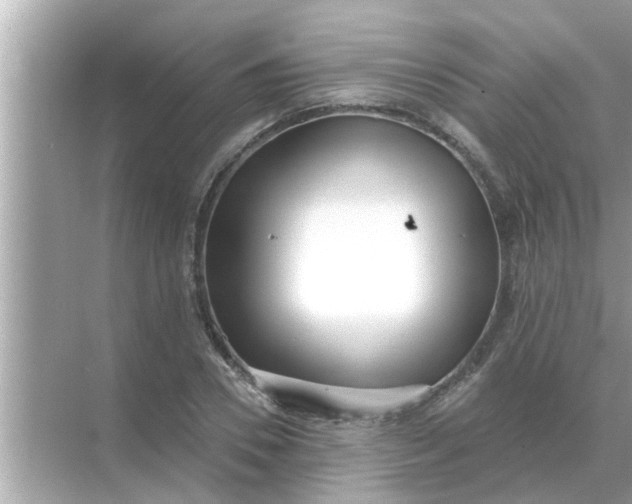 X0000070880930200606302134