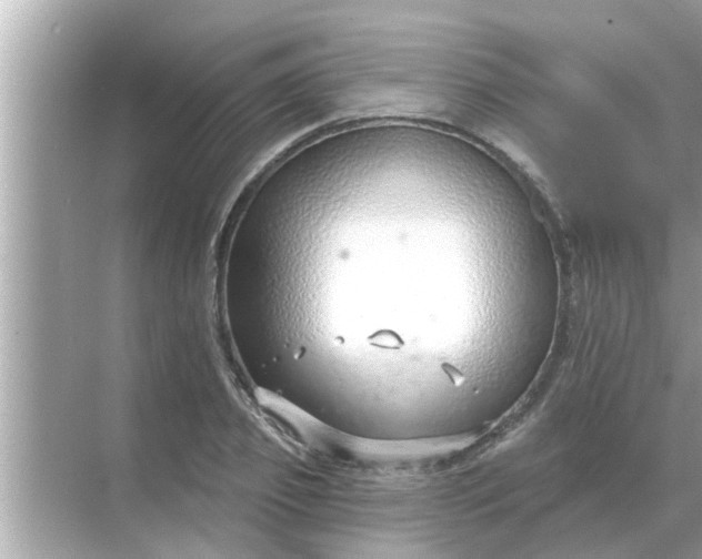 X0000070880933200606302134