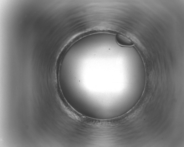 X0000070880934200606302134