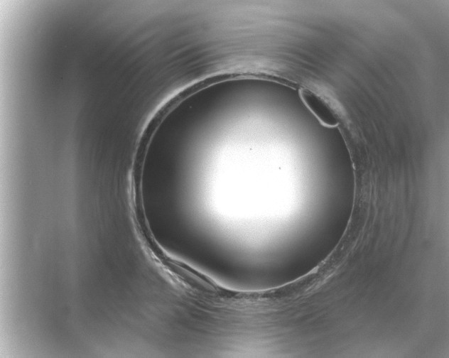 X0000070880936200606302134