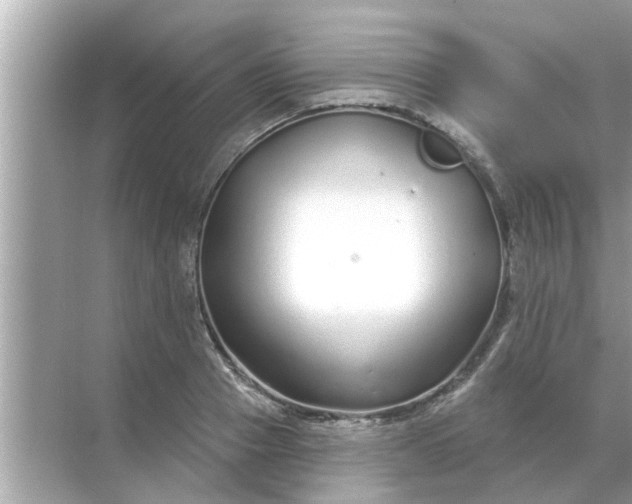 X0000070880937200606302134