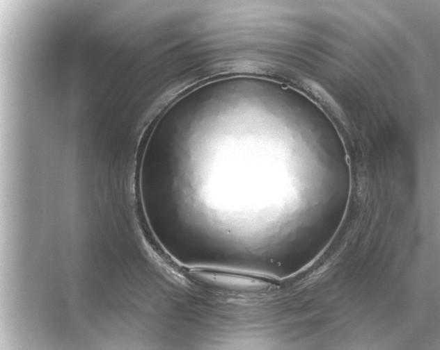 X0000070880938200606302134