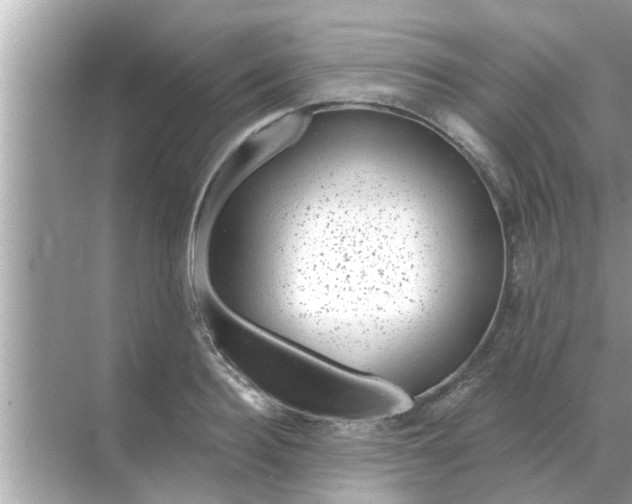 X0000070880940200606302134